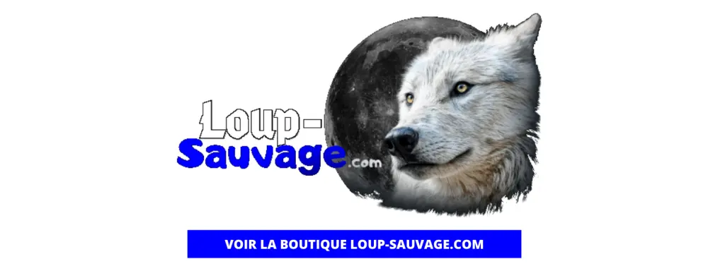VOIR LA BOUTIQUE LOUP-SAUVAGE.COM